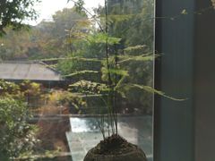 -宣和苑(华侨新村店)