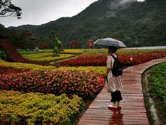 -广州市石门国家森林公园