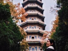 -灵谷景区