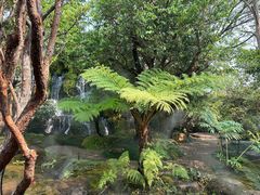 -Chom Cafe and Restaurant