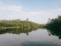 -三水森林公园