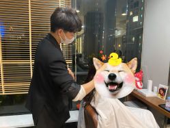 -意廊 Hair Salon