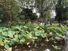 -祥源·阜阳生态乐园