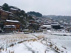 -苗湘食府(十年店)