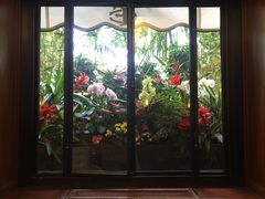 二楼窗户-花神咖啡馆