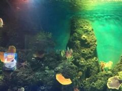 -石家庄海洋公园