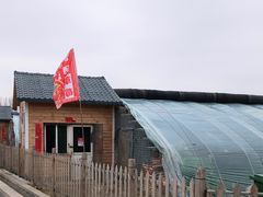 -田趣农庄草莓采摘园