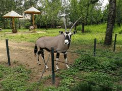 -大连森林动物园