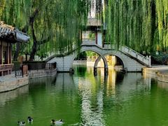 -团结湖公园