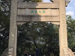 -苏州上方山国家森林公园