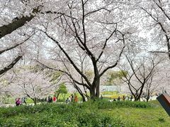-苏州上方山国家森林公园