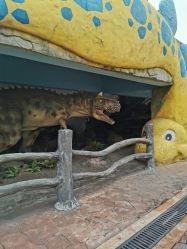 -宝燕乐园(闵行旗舰店)