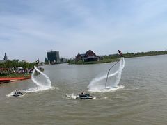 -荷兰花海