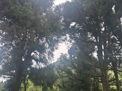 -南岳大庙