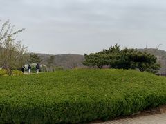 -棒棰岛宾馆景区