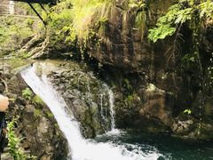 -大奇山国家森林公园