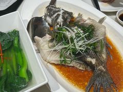 -陶陶居酒家(新天地店)