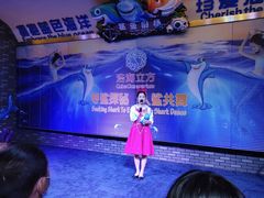 -成都浩海立方海洋公园