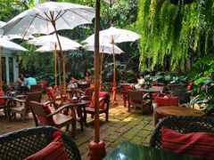 -Fern Forest Cafe