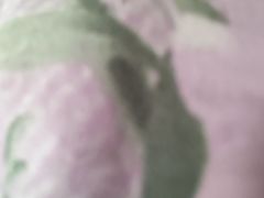 -重庆鸡公煲·青锅花椒鱼(牡丹江路店)
