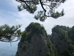 -秦岭天竺山景区