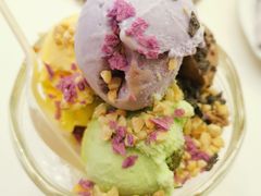 -曲江惠宾苑宾馆(大雁塔大唐不夜城店)