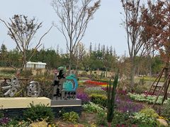 -上海长兴岛郊野公园