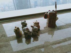 点击看大图 -JNK皮肤管理中心