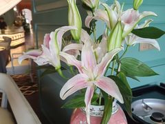 -南堂馆·新川菜(春熙路店)