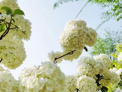 -大龙山(地铁站)