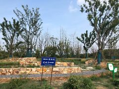 -盘龙城国家考古遗址公园