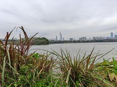-海珠湖公园