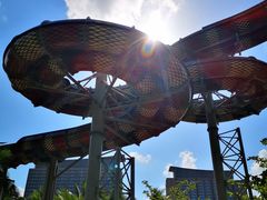 -亚马逊丛林水乐园