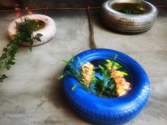 -米氏火鱼·泡椒鱼火锅(李子坝老店)