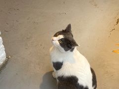 -颐玖 咖啡|甜品