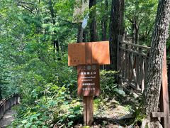 -王顺山国家森林公园