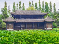 -桂湖森林公园