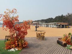 -青岛第二海水浴场