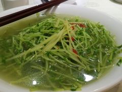 鸡汤豆苗-天成川菜馆(华乐店)