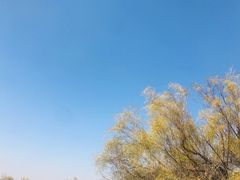 -黄沙古渡原生态旅游区