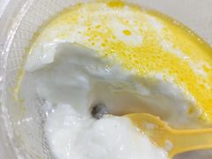 -雪露酸奶