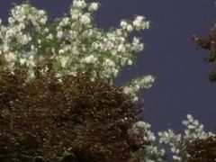 -莲湖公园