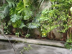 -漫笙舍Manse·咖啡·民宿