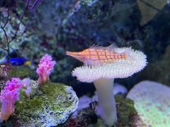 -大连老虎滩海洋公园