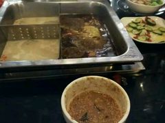 -陈阿婆重庆绿色鱼火锅