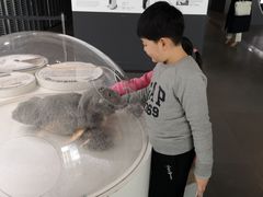 -日本科学未来馆