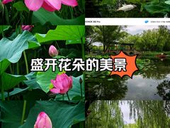 -满都海公园