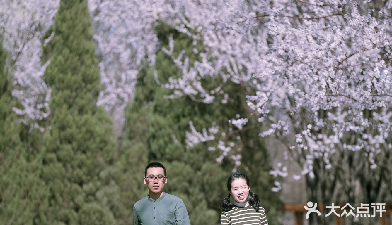 春季桃花拍照教程