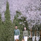 春季桃花拍照教程