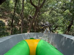 -沂蒙山旅游区云蒙景区(蒙山国家森林公园)